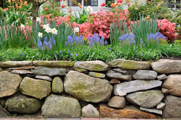 Stone Wall Hardscaping in Brighton