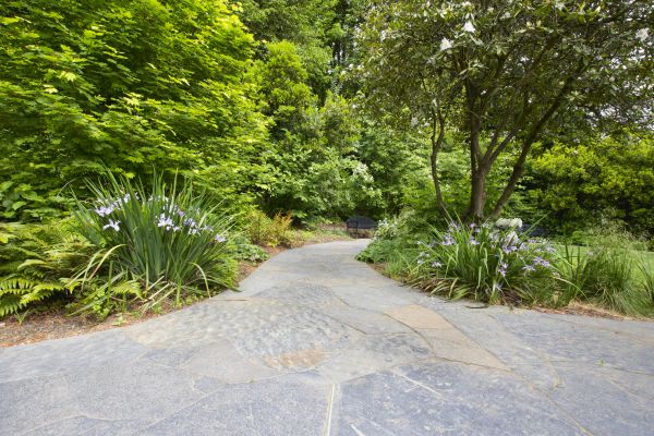 Stone Hardscape Service in Brighton